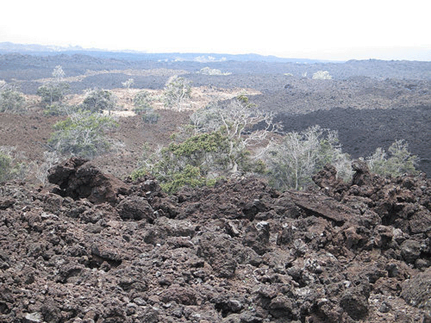 Volcanic landscape